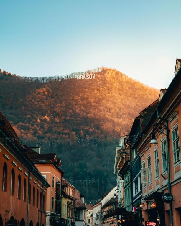 Coresi, 2 Camere, Sleeps 6 Large Private Garden Apartment Pets Welcome Braşov Buitenkant foto