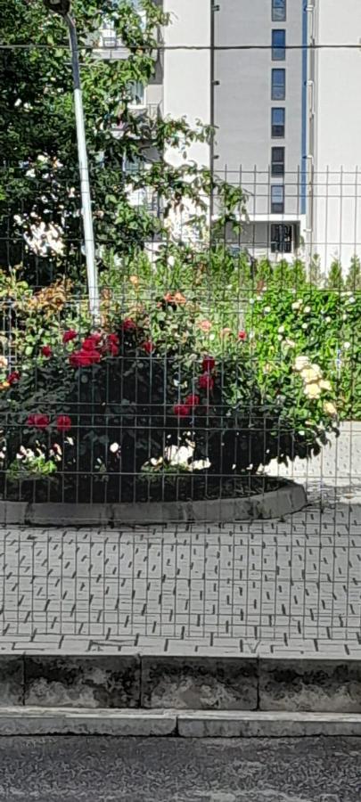 Coresi, 2 Camere, Sleeps 6 Large Private Garden Apartment Pets Welcome Braşov Buitenkant foto