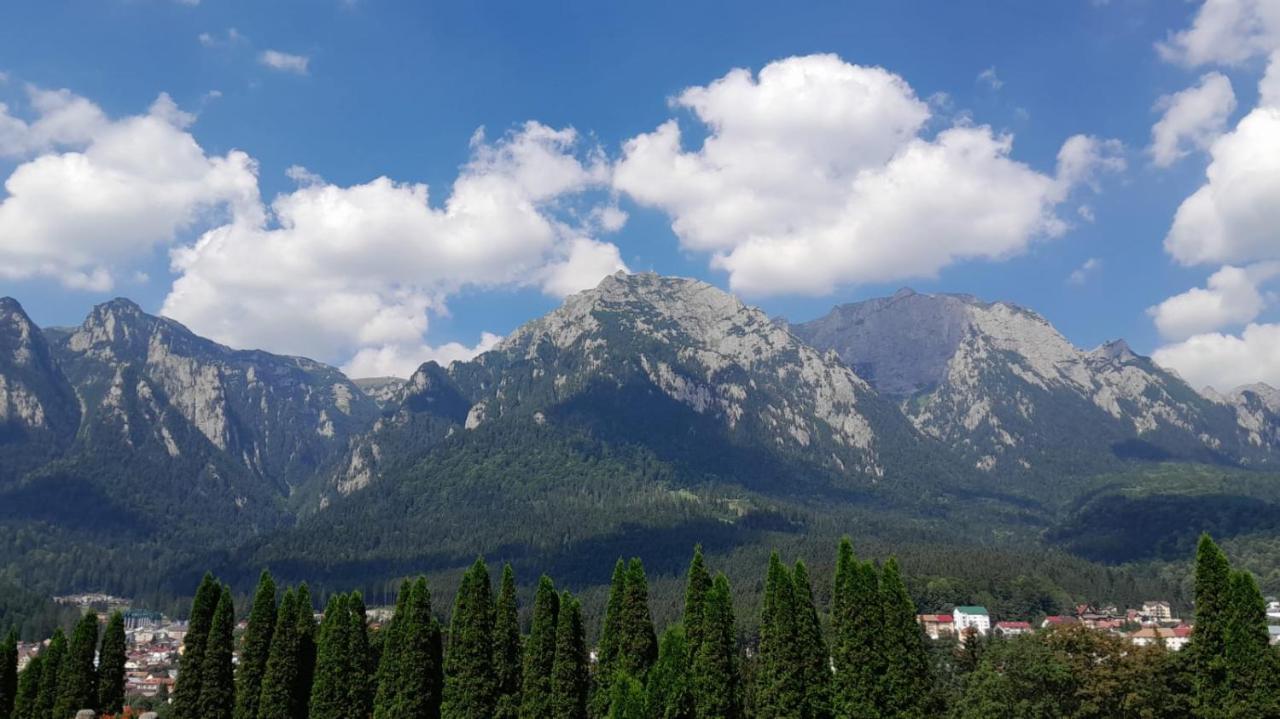 Coresi, 2 Camere, Sleeps 6 Large Private Garden Apartment Pets Welcome Braşov Buitenkant foto